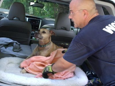 Dog Rescued After Falling From Dukes Creek Overlook