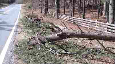 Three To Four Weeks Of Work To Clean Up Road Storm Debris