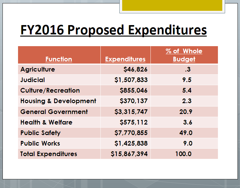 2015 County Budget sheet