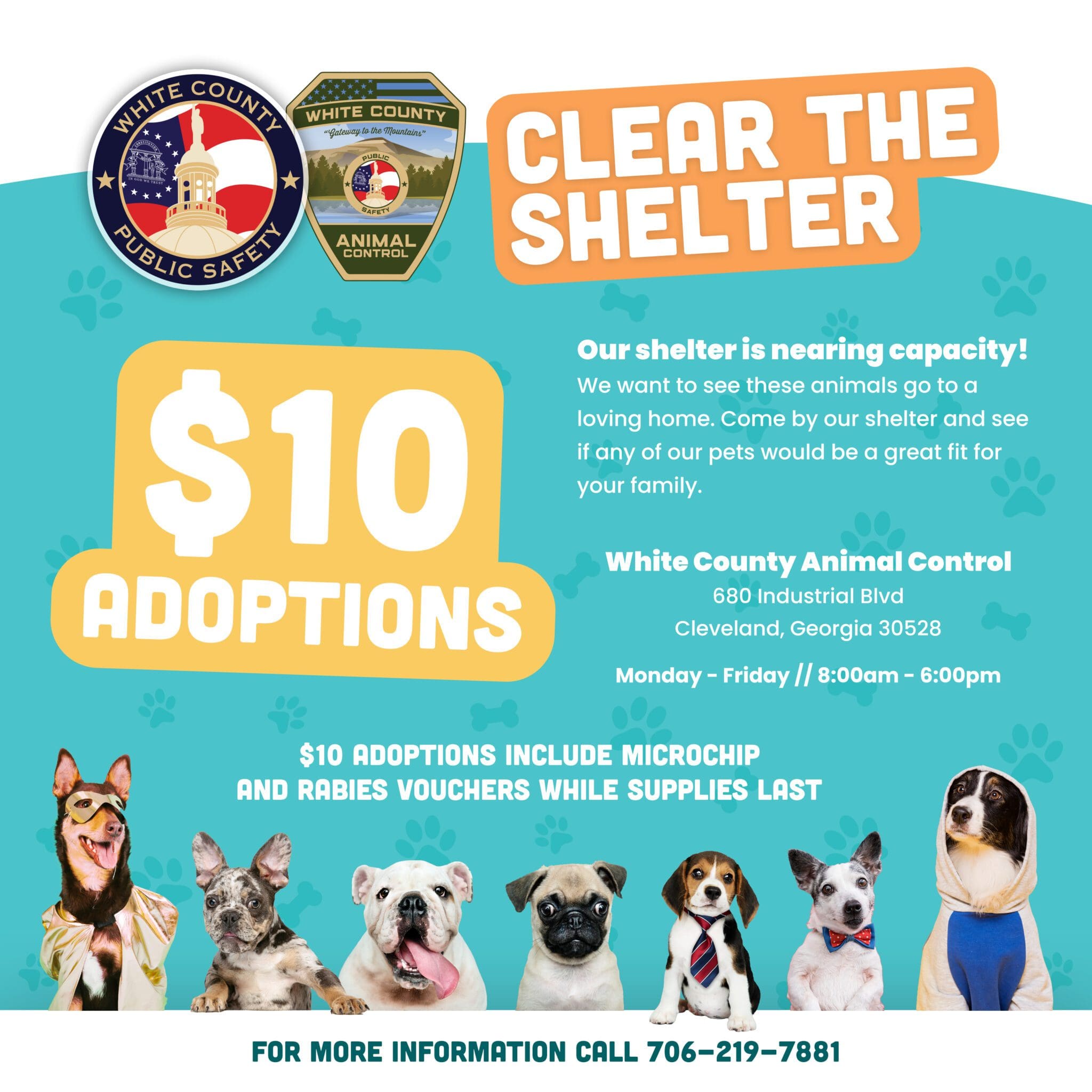 White County "Clear The Shelter" Event 10 Adoptions WRWH